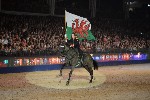Cavalry - 00369